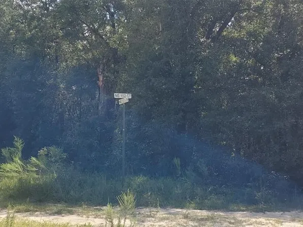 10290 NE 83rd Ln, Bronson, FL 32621