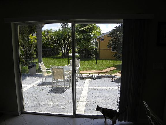 View to East from dining rm