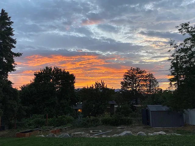 Lots of sunsets out the backyard and the whole back of the house!