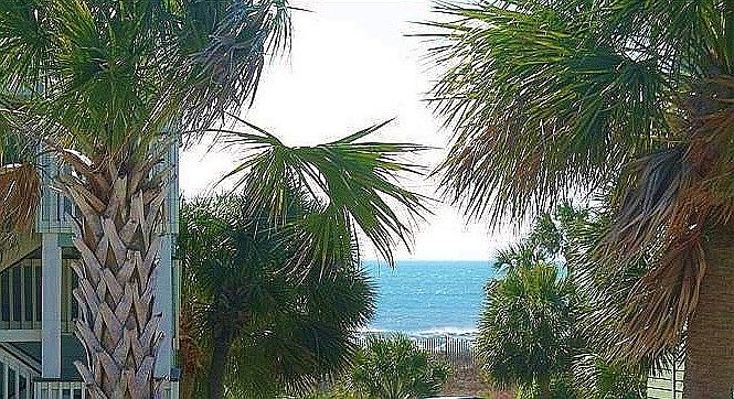 1st image of 1400 Ocean Blvd #209