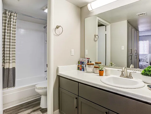 Renovated Bath