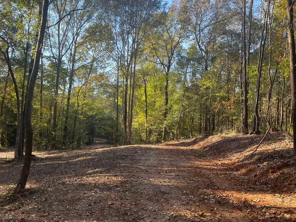 Woodchuck Rd, Pittsburg, TX 75686