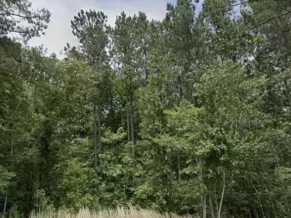 32.3 Duncan Rd #A, Johnston, SC 29832