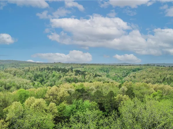 TRACT 3 Silver Ridge Rd, Eureka Springs, AR 72632