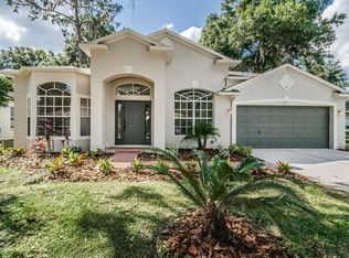 3707 Eaglewood St, Valrico, FL 33596