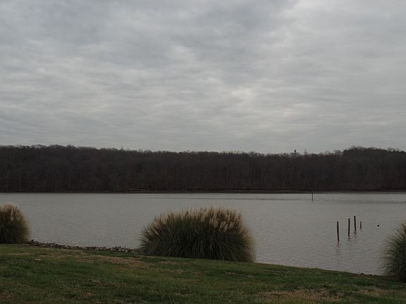 5th image of 1422 River Dr #11