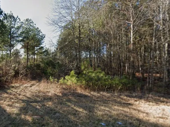 0 Claude Jackson Dr #35, Aliceville, AL 35442