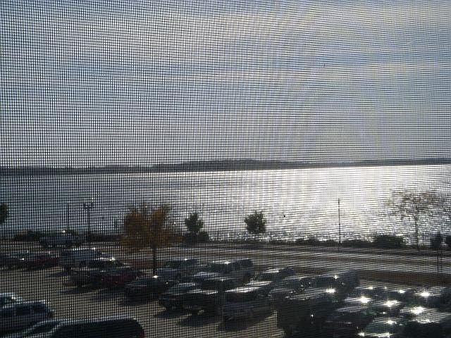 View from Kitchen window
