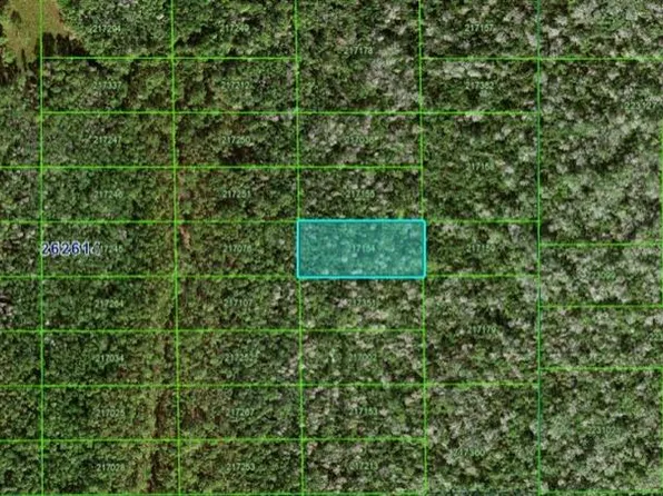 N/a #411, Polk City, FL 33868