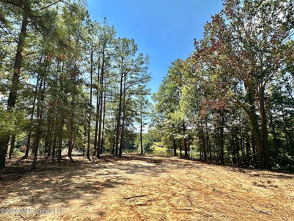 2nd image of 0 Race Track Rd
