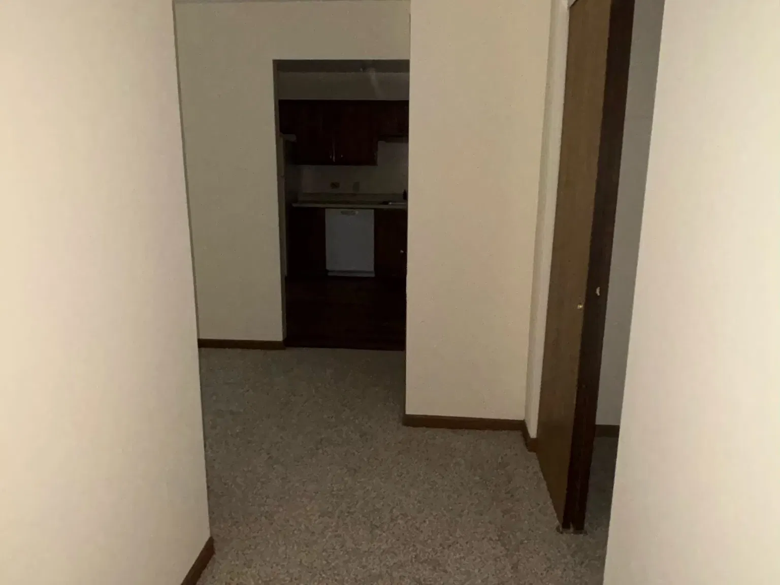 2 bed, 1000 sqft, $1,550 — Photo 4