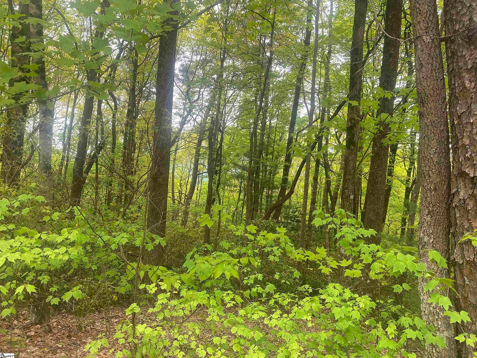 312 Cliff Ridge Dr LOT 172, Cleveland, SC 29635 MLS 1498081 Zillow