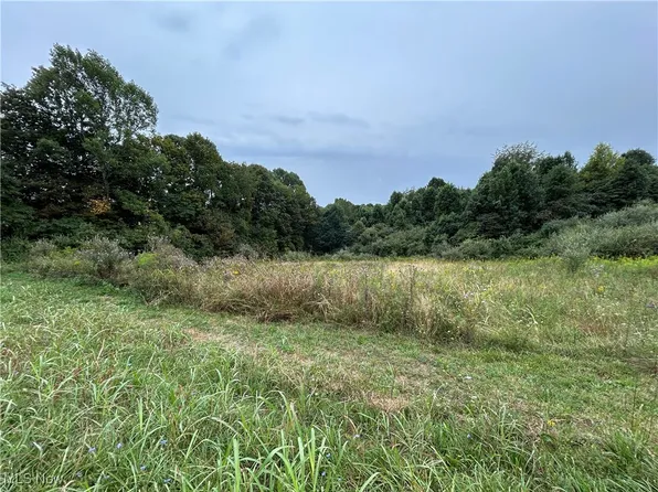 State Route 339, Dexter City, OH 45727