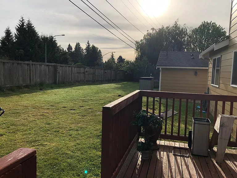 Huge backyard
