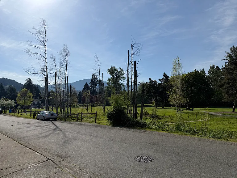 view of the park next door