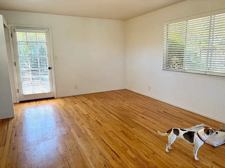 Red oak hardwood floors. French door that leads to deck and backyard (dog not included).