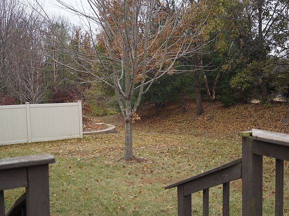 View from deck to backyard