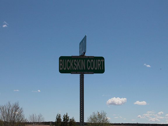 2nd image of 1181 Buckskin Ct