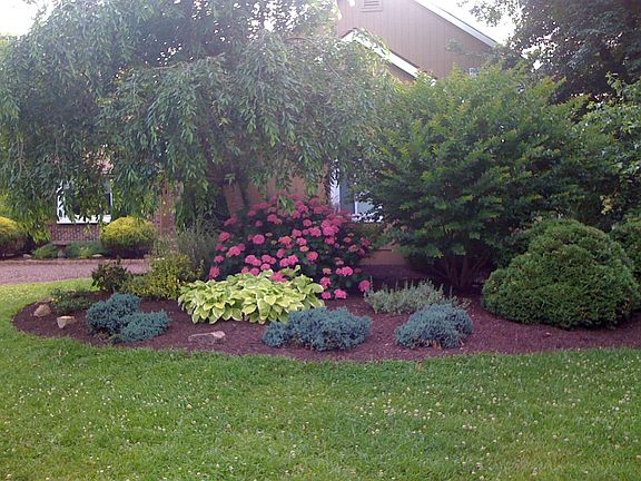Front island in summer