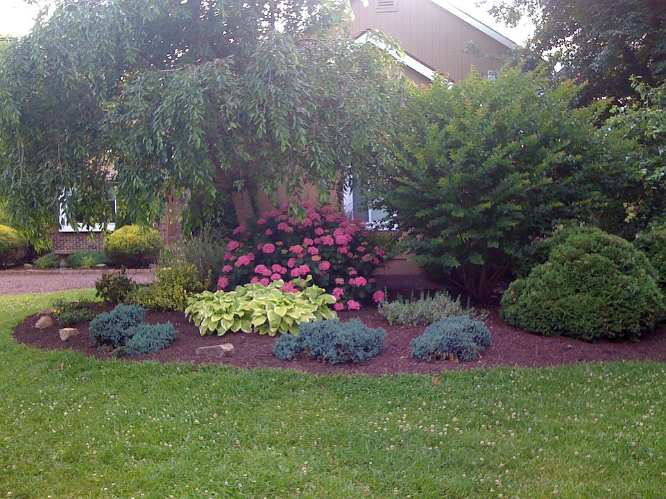 Front island in summer
