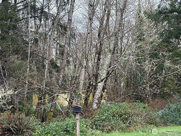 3rd image of 303 XX Stackpole Lane