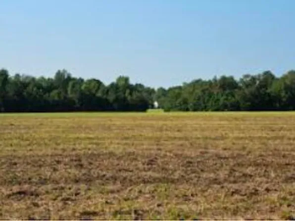 TRACT 18A HWY 78, Williston, SC 29853