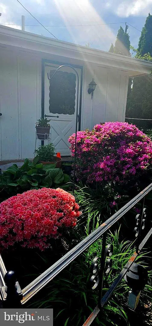 1 bed, $1,100 — Photo 4