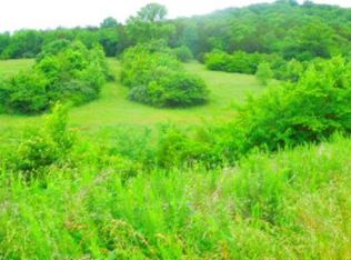 Dycus Landing Rd, Gainesboro, TN 38562