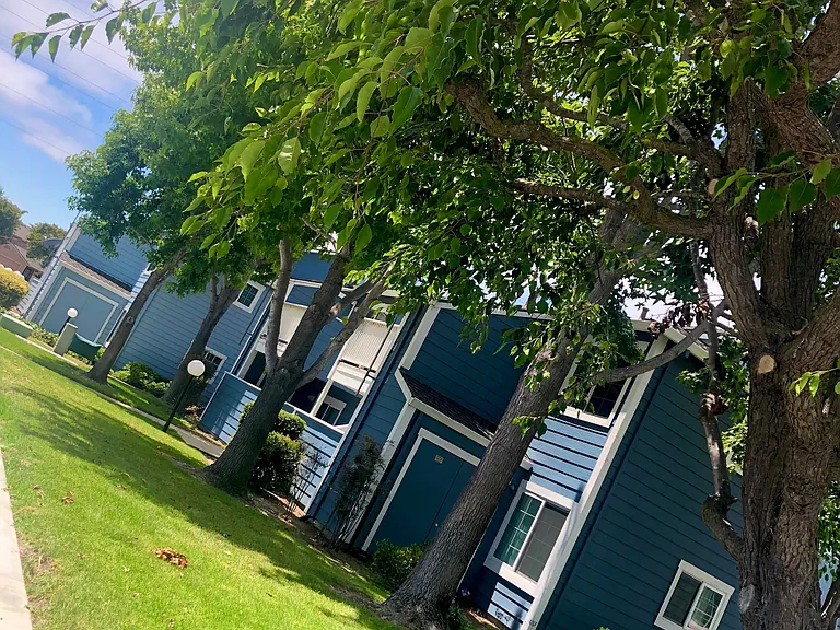 Mariner Village — Photo 19