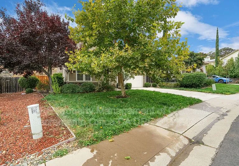 4909 Concordia Dr — Photo 50