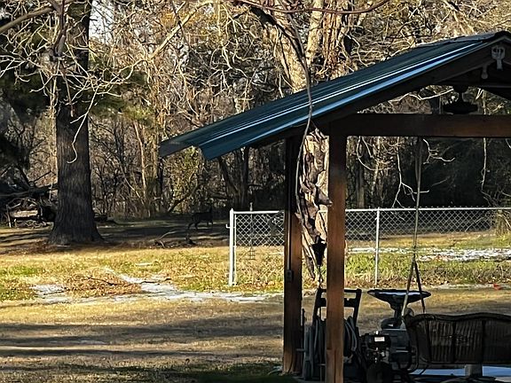 Deer Standing