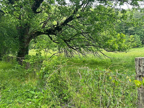3rd image of 0 Jacks Creek Rd