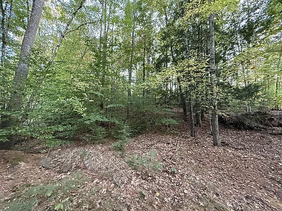 5th image of Lot 2093 Sunny Brook Circle