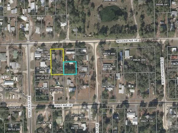 1208 NE Second Ave, Steinhatchee, FL 32359