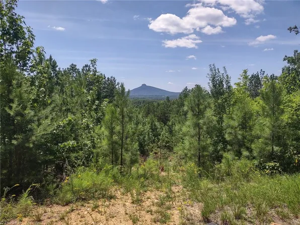 0 Pine Tree Dr, Pinnacle, NC 27043