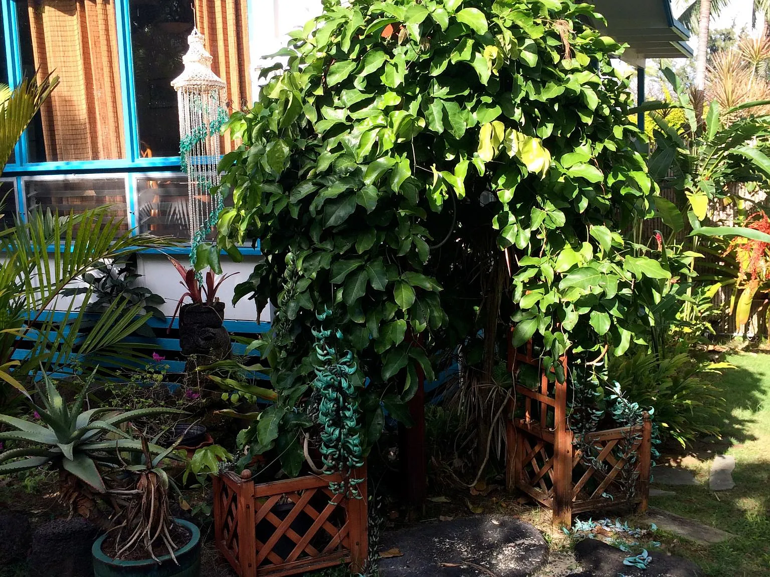 Studio, $1,950 — Photo 4