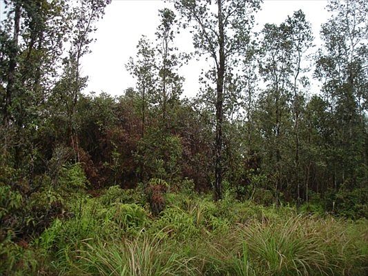2nd image of Road 1 Uhini Ana Lot 2552
