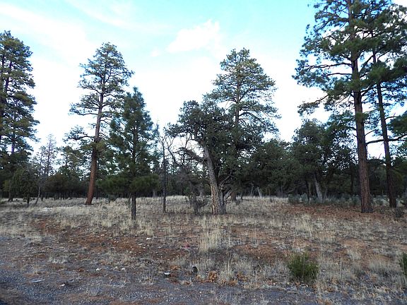 5th image of 2941 Eagle Ridge Cir