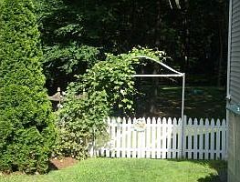 SIDE LAWN ENTRY GATE WITH GRAPE VINE