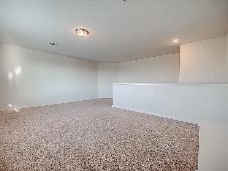 346 Apache Field Ln — Photo 19