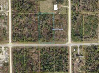 563 Hunting Club Ave, Clewiston, FL 33440