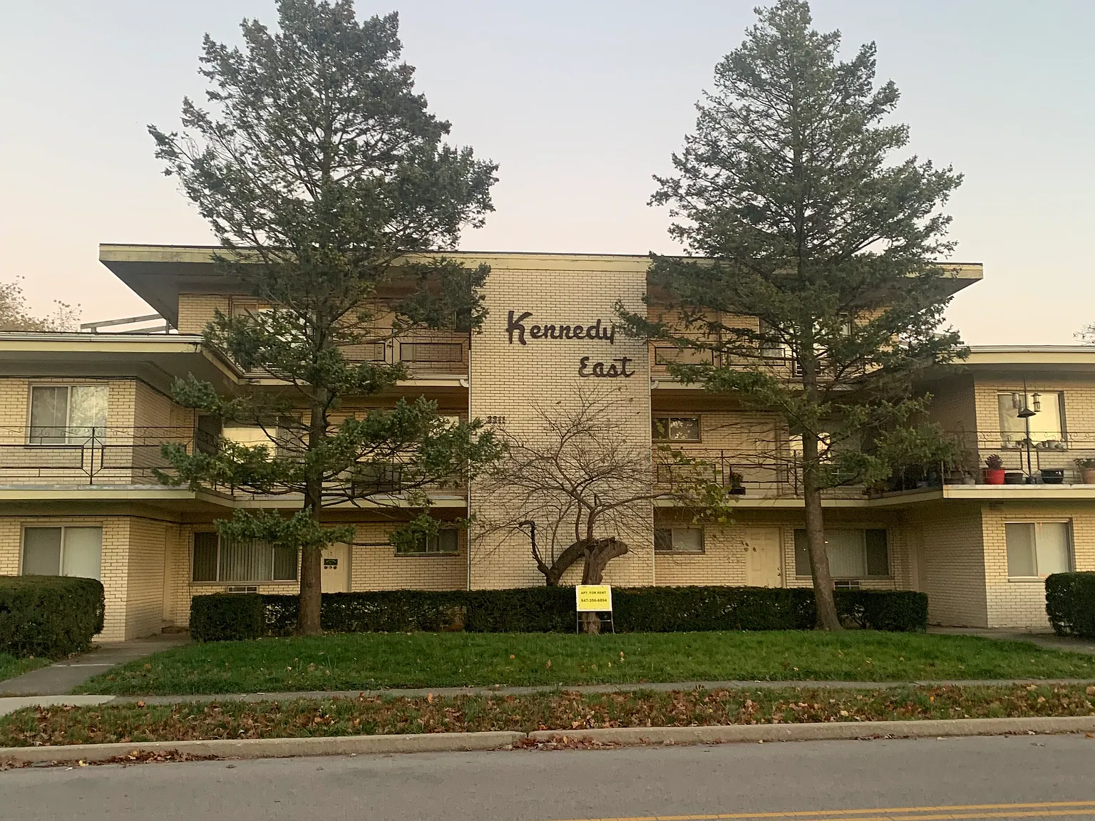 1 bed, 800 sqft, $1,195 — Photo 3
