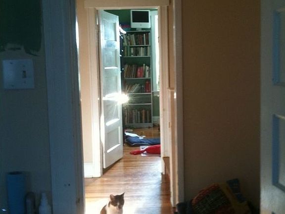 Amazing morning light gleams through glass door knobs and off hardwood floors