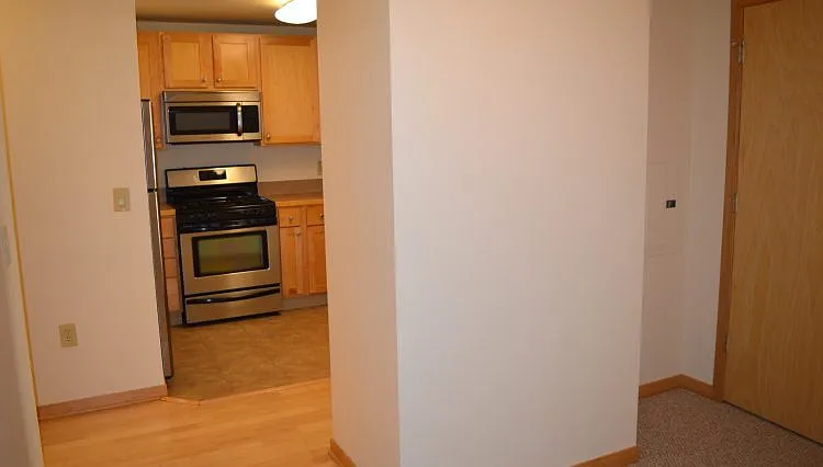 333 W Mifflin St #3060 — Photo 14