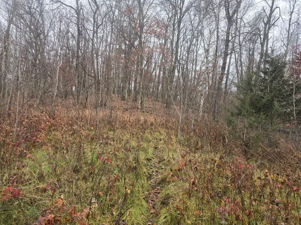 244th St N, Scandia, MN 55073