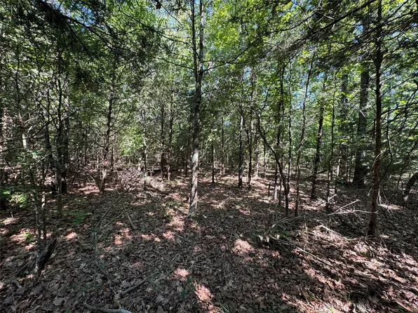 Denise St, Blossom, TX 75416