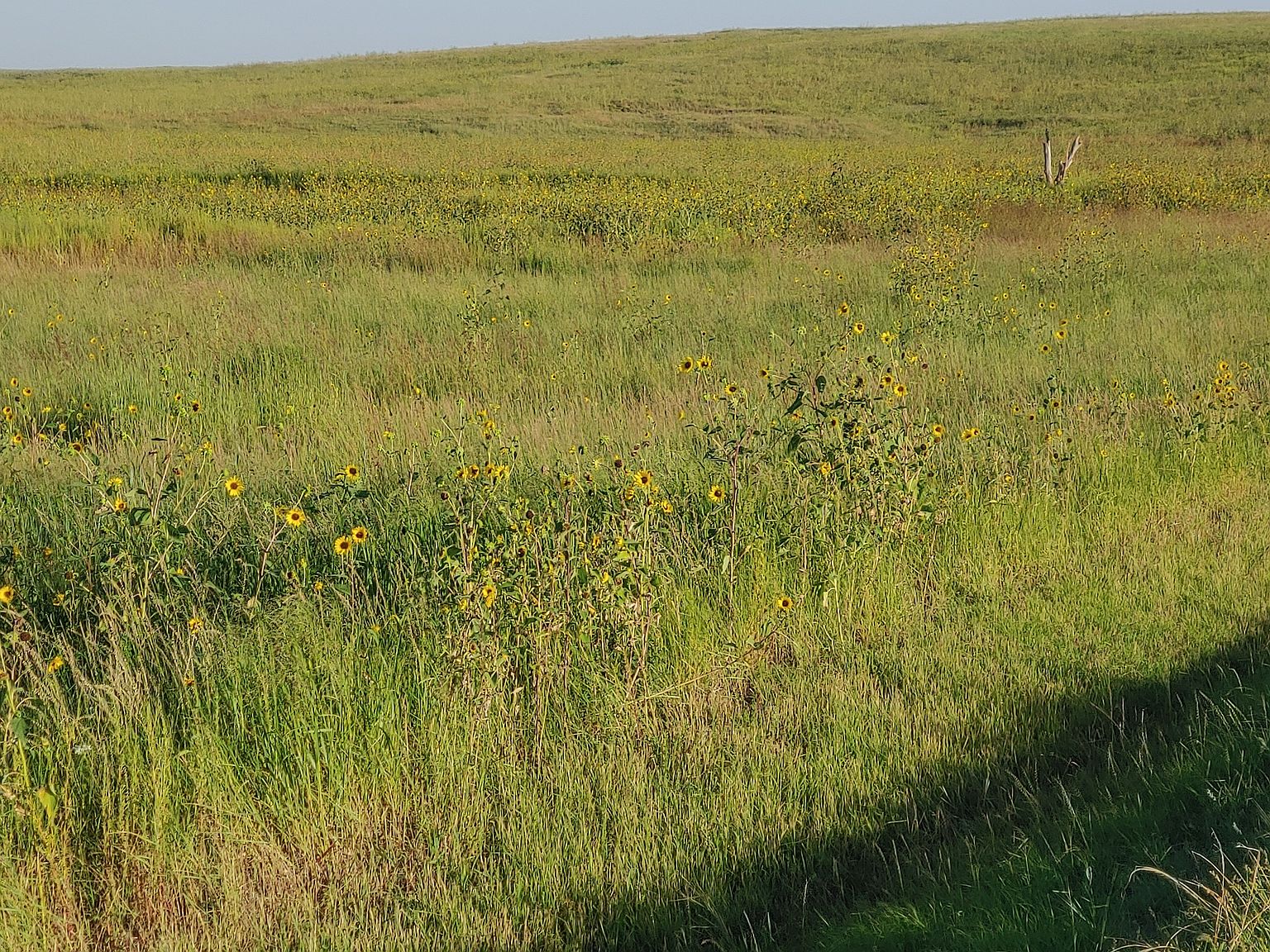 Road 72, Goodland, KS 67735 MLS 11200725 Zillow