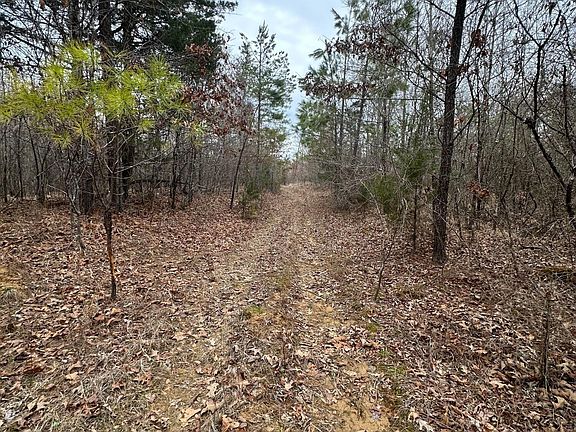 2nd image of Gordon Rd