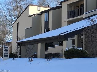 1006 Bunker Dr APT 301, Fairlawn, OH 44333