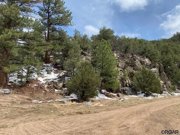 8932 Copper Gulch Rd, Cotopaxi, CO 81223